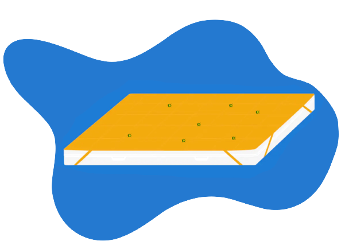 ¿Qué son los ácaros?