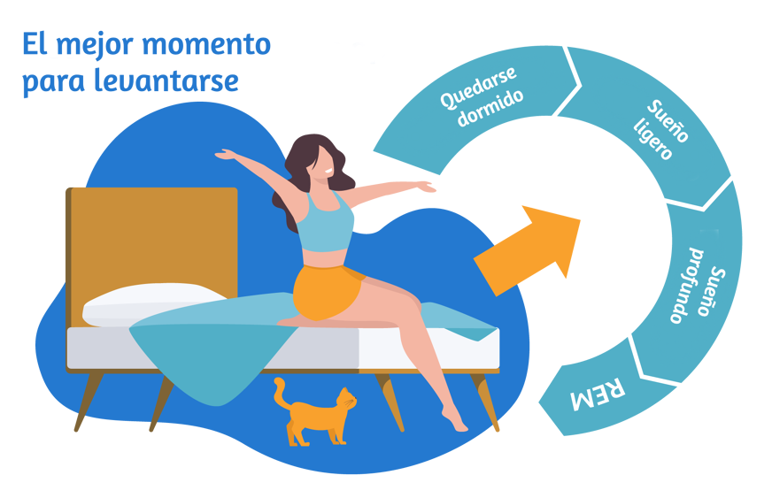 Las fases del sueño: cuáles son y cuánto duran