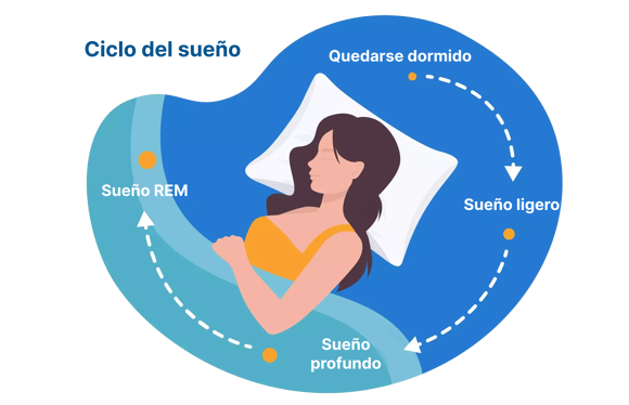 Calculadora de sueño