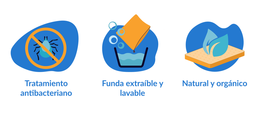 caracteristicas tapete perro