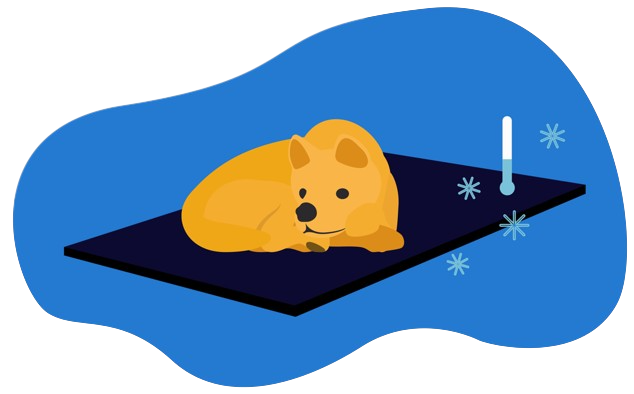 tapete refrescante perro