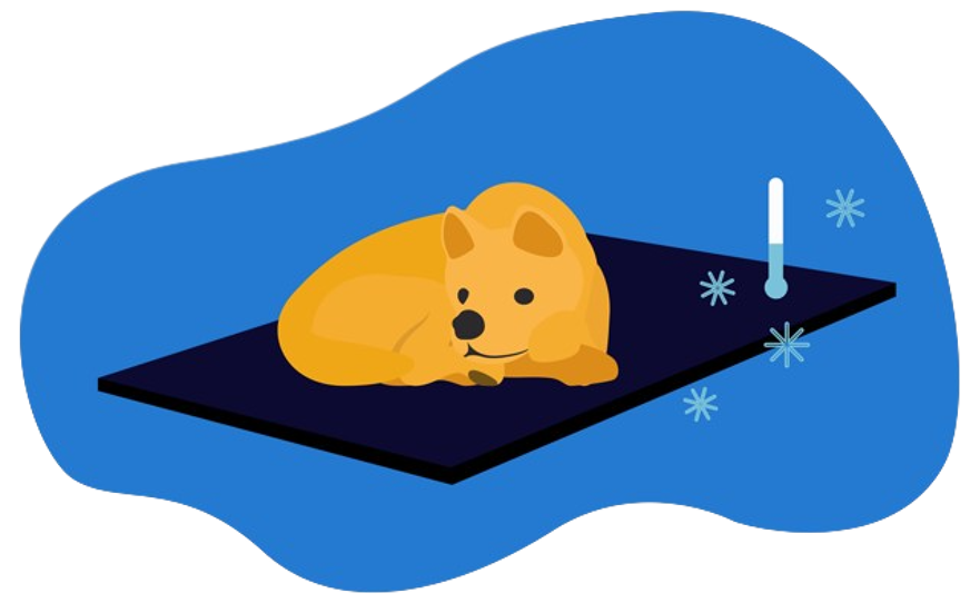 tapete refrescante perro