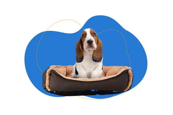 Fancy Pets Cama Maltes para Perro Tamaño Mediana Color Café