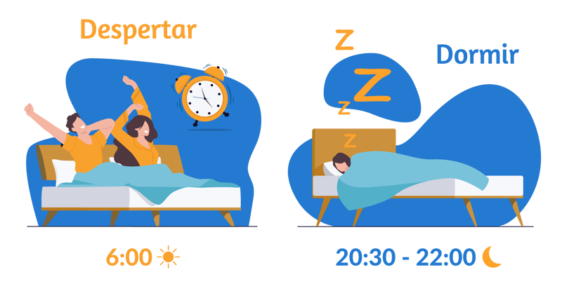 ¿Cuántas horas hay que dormir al día según los expertos? 😴