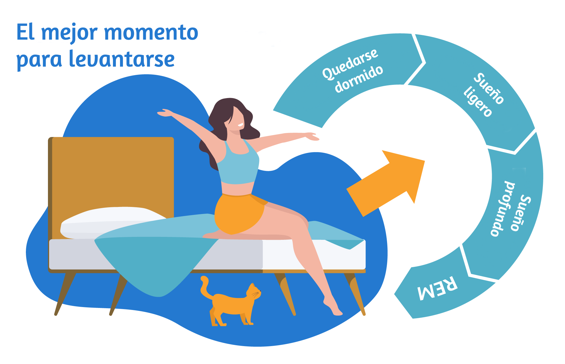 que es ciclo de sueño